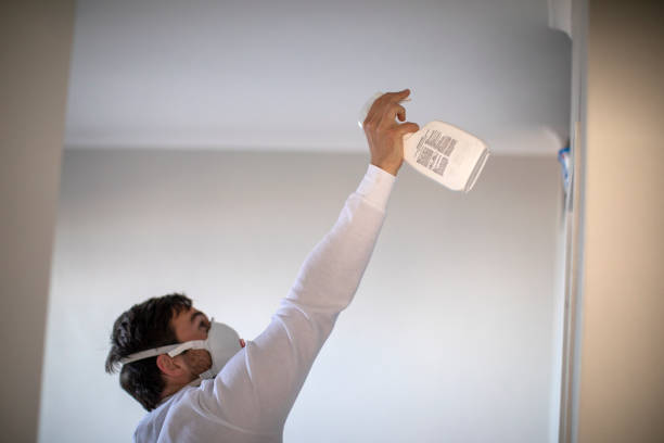 Best Same-Day Mold Removal  in Elkin, NC