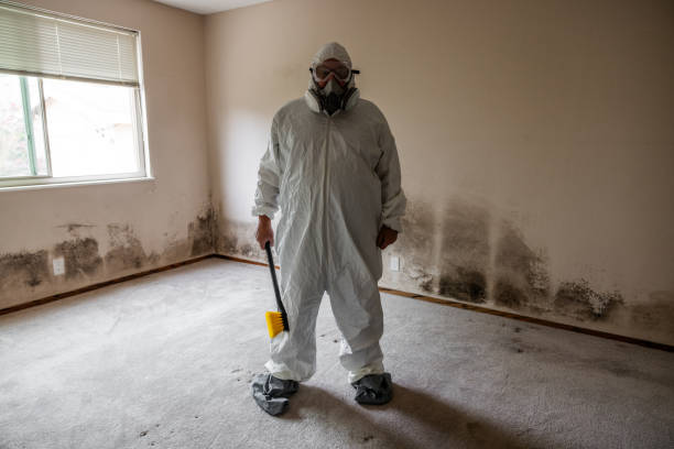 Best Mold Damage Repair  in Elkin, NC