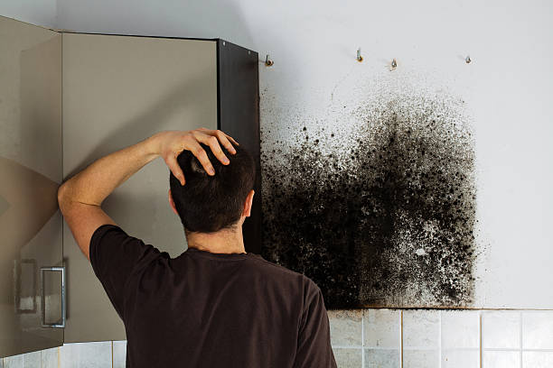 Best Crawl Space Mold Removal  in Elkin, NC